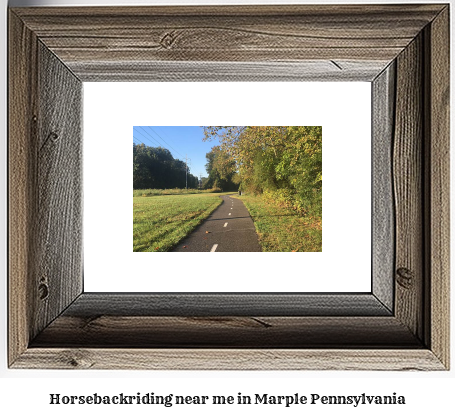 horseback riding near me in Marple, Pennsylvania